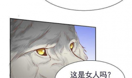 逢狼时刻漫画,勇敢少女的奇幻冒险之旅